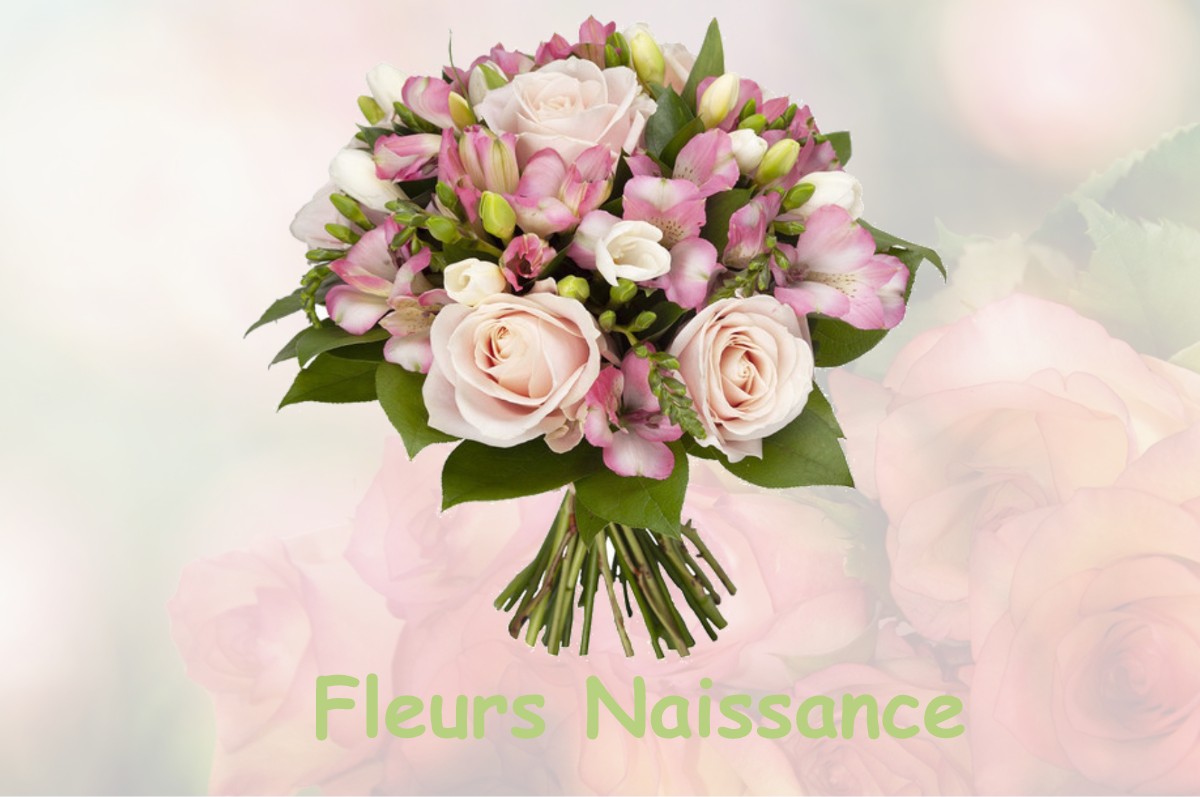 fleurs naissance VENDINE