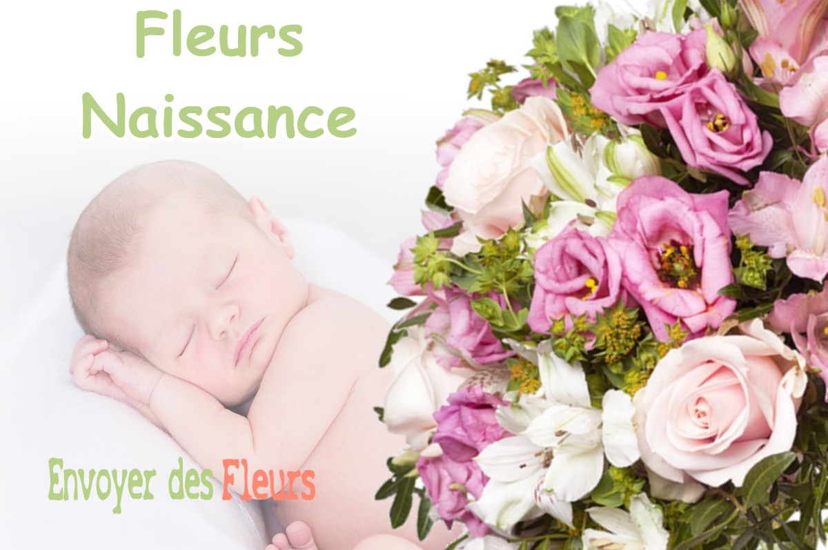 lIVRAISON FLEURS NAISSANCE à VENDINE