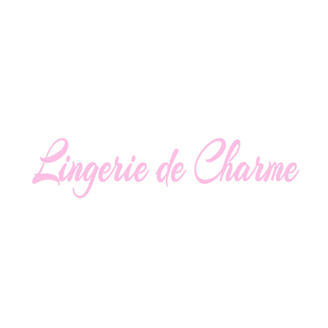 LINGERIE DE CHARME VENDINE